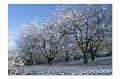 Moessingen Winter M 10